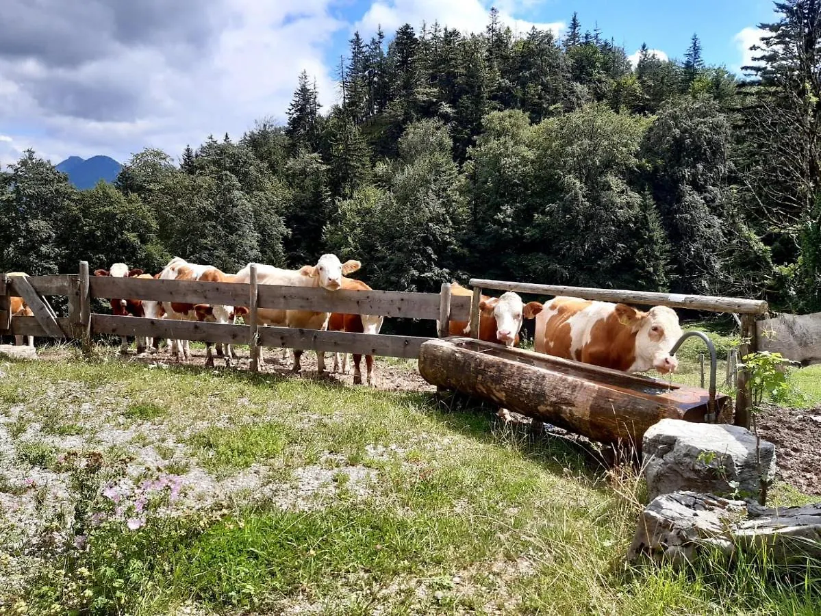 Huberhof, Mettenham Schleching Germany